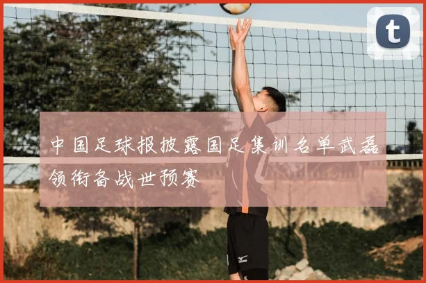 中国足球报披露国足集训名单武磊领衔备战世预赛