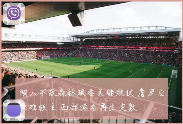 湖人不敌森林狼吞关键败仗 詹眉合砍难救主 西部排名再生变数