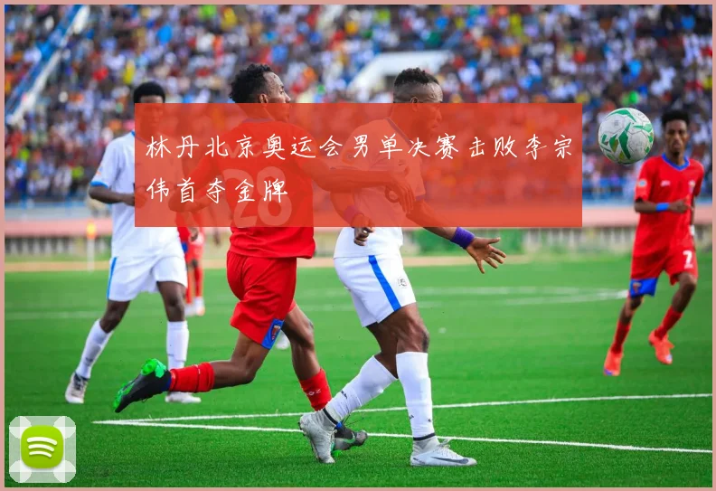 林丹北京奥运会男单决赛击败李宗伟首夺金牌