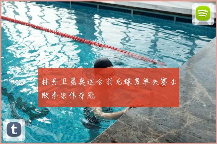 林丹卫冕奥运会羽毛球男单决赛击败李宗伟夺冠