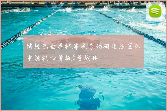 博格巴世界杯球衣号码确定法国队中场核心身披6号战袍